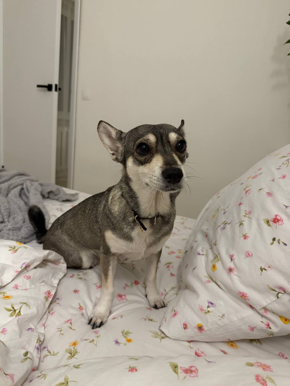 Когда мышление – в порядке