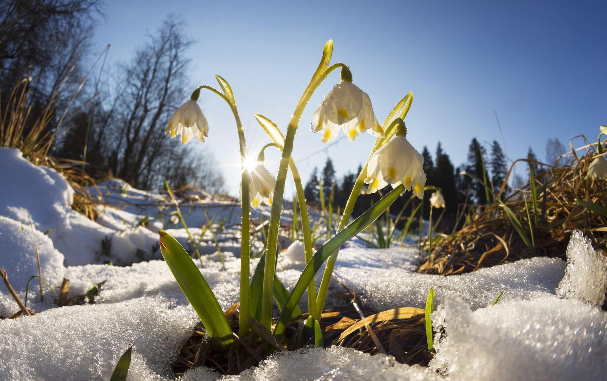 БУДЕМ ЖИТЬ!